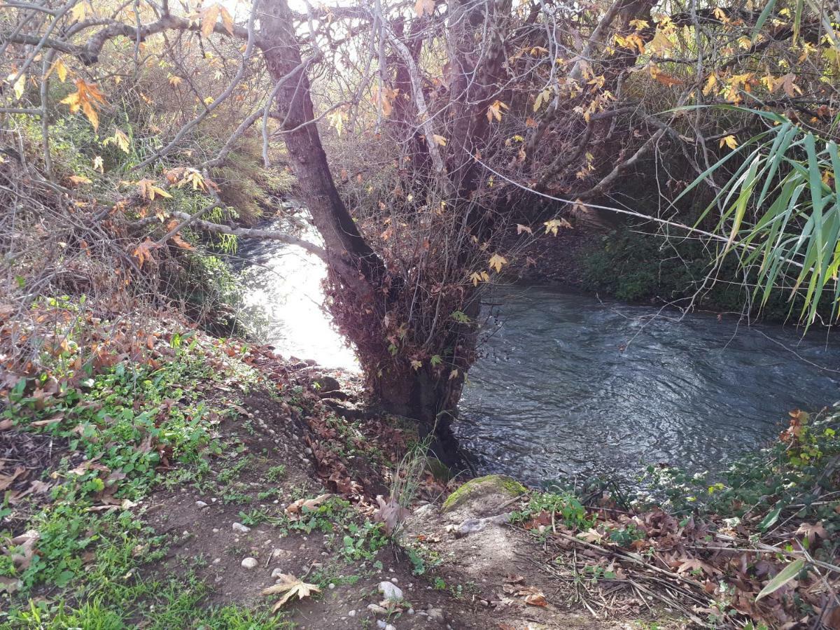 Villa By The River Facing The Hermon In Dafna Exterior photo