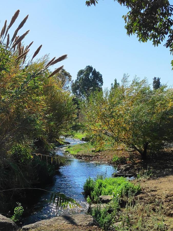 Villa By The River Facing The Hermon In Dafna Exterior photo